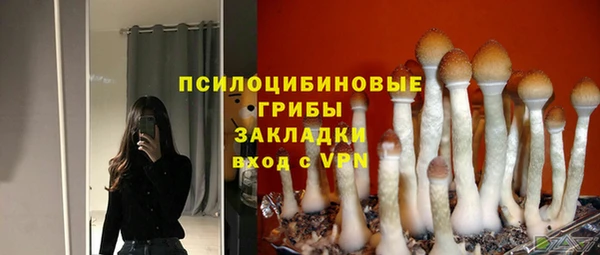 спиды Нефтекумск