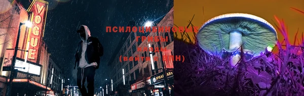 прущий лед Нея