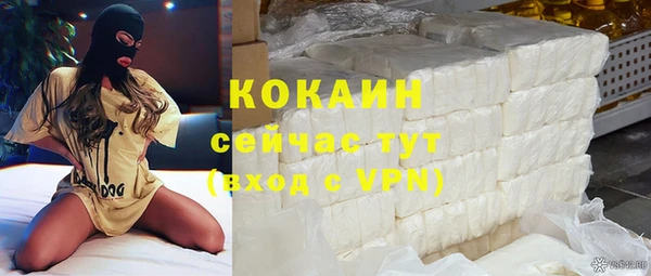 прущий лед Нея