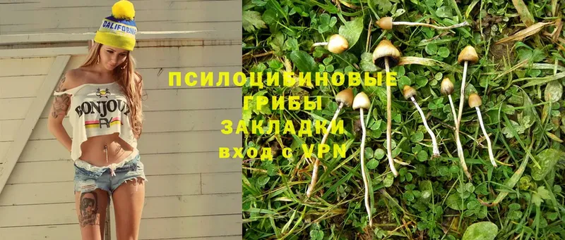 Галлюциногенные грибы Magic Shrooms  Поронайск 