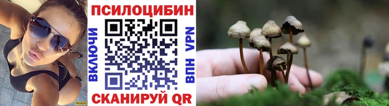 Псилоцибиновые грибы MAGIC MUSHROOMS  дарнет шоп  Поронайск 
